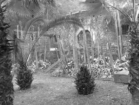 A Black N White Wuyishan Adventure