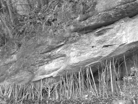 A Black N White Wuyishan Adventure