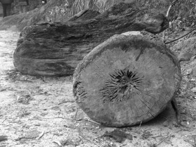 A Black N White Wuyishan Adventure