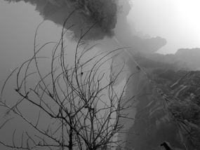 A Black N White Wuyishan Adventure