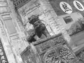 A Black N White Wuyishan Adventure