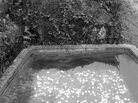 A Black N White Wuyishan Adventure