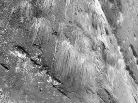 A Black N White Wuyishan Adventure