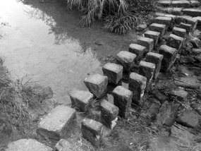 A Black N White Wuyishan Adventure