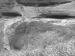 A Black N White Wuyishan Adventure
