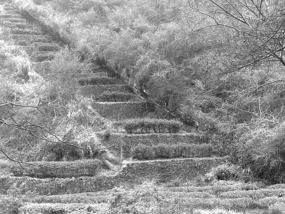 A Black N White Wuyishan Adventure