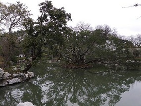 Three Lanes & West Lake Adventure