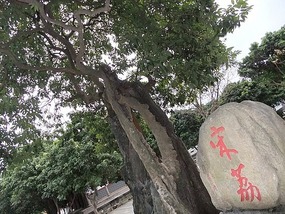 Xichan Temple Adventure
