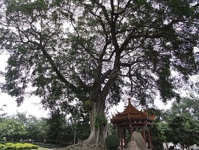 Xichan Temple Adventure