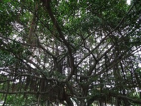 Xichan Temple Adventure