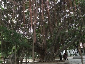 Xichan Temple Adventure
