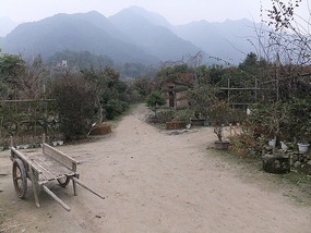 Ningde City & The Re-Birth of a Temple