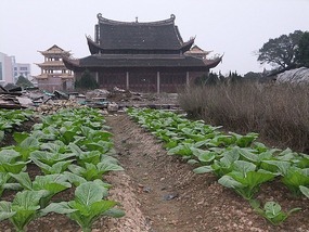 Ningde City & The Re-Birth of a Temple