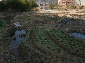 The Wan'an Bridge Adventure