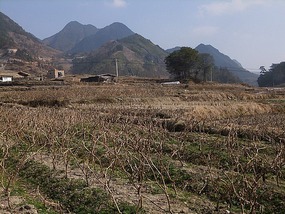 Shuangxi Town & Qiancheng Bridge