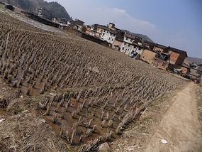 Shuangxi Town & Qiancheng Bridge