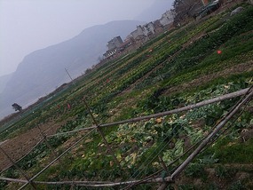 Beiqi Village & Mudflats