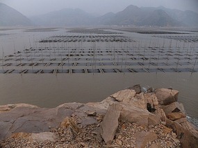 Beiqi Village & Mudflats