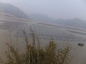 Beiqi Village & Mudflats