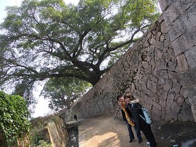 Da Jiang Ancient Village