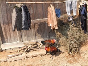 Da Jiang Ancient Village