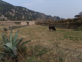 Da Jiang Ancient Village