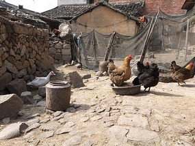 Da Jiang Ancient Village