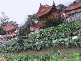 Chinese Temple of Kindness
