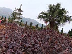 Japanese Chi'an Kong Hai Temple