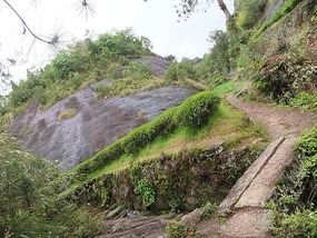 WuyiShan Adventure with Lisa
