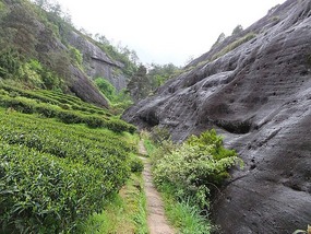 WuyiShan Adventure with Lisa