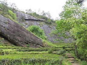 WuyiShan Adventure with Lisa