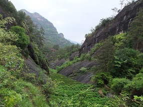WuyiShan Adventure with Lisa