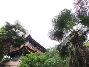 WuyiShan Adventure with Lisa