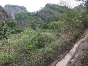 WuyiShan Adventure with Lisa