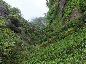 WuyiShan Adventure with Lisa