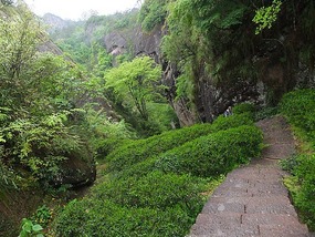 WuyiShan Adventure with Lisa