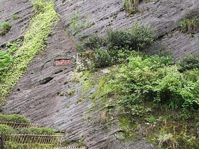 WuyiShan Adventure with Lisa