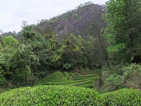 WuyiShan Adventure with Lisa