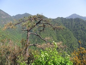 Zixi Town & DaJu Mountain