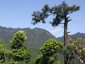 Zixi Town & DaJu Mountain