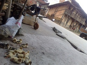 Students School Market 