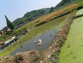 Ancient Heping Village Adventure