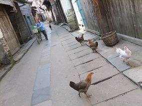 Ancient Heping Village Adventure