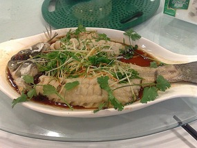 Wuyishans Tea Culture