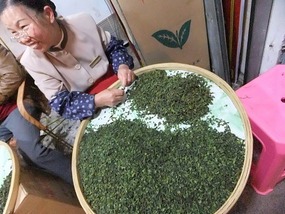 Wuyishans Tea Culture