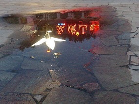 The End of Term & Shaowu