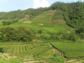 Qinglong Falls & Longchuang Canyon