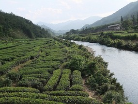 Qinglong Falls & Longchuang Canyon