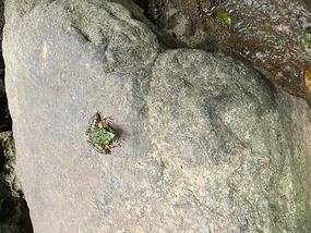 Qinglong Falls & Longchuang Canyon